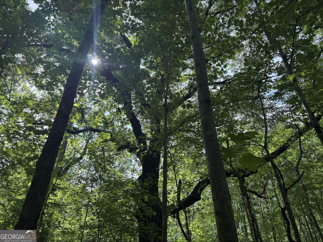 5245 Veal Road - Photo 1