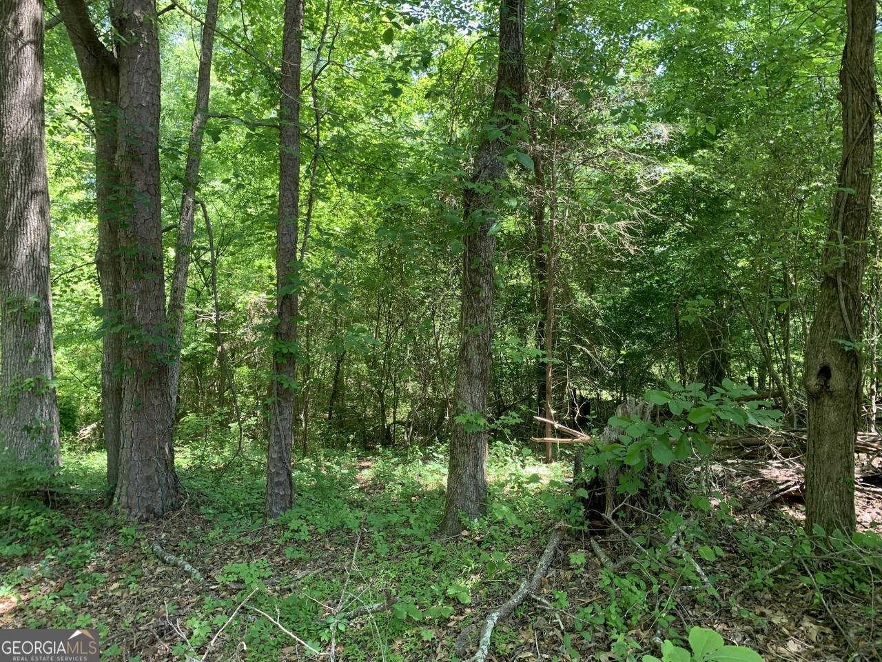 1030 Chambers Court - Photo 1