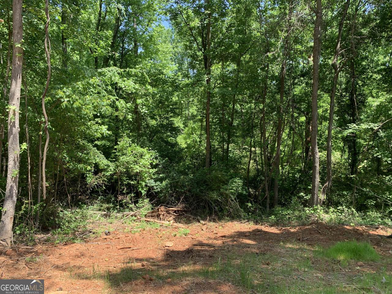 1200 Paxton Court - Photo 1