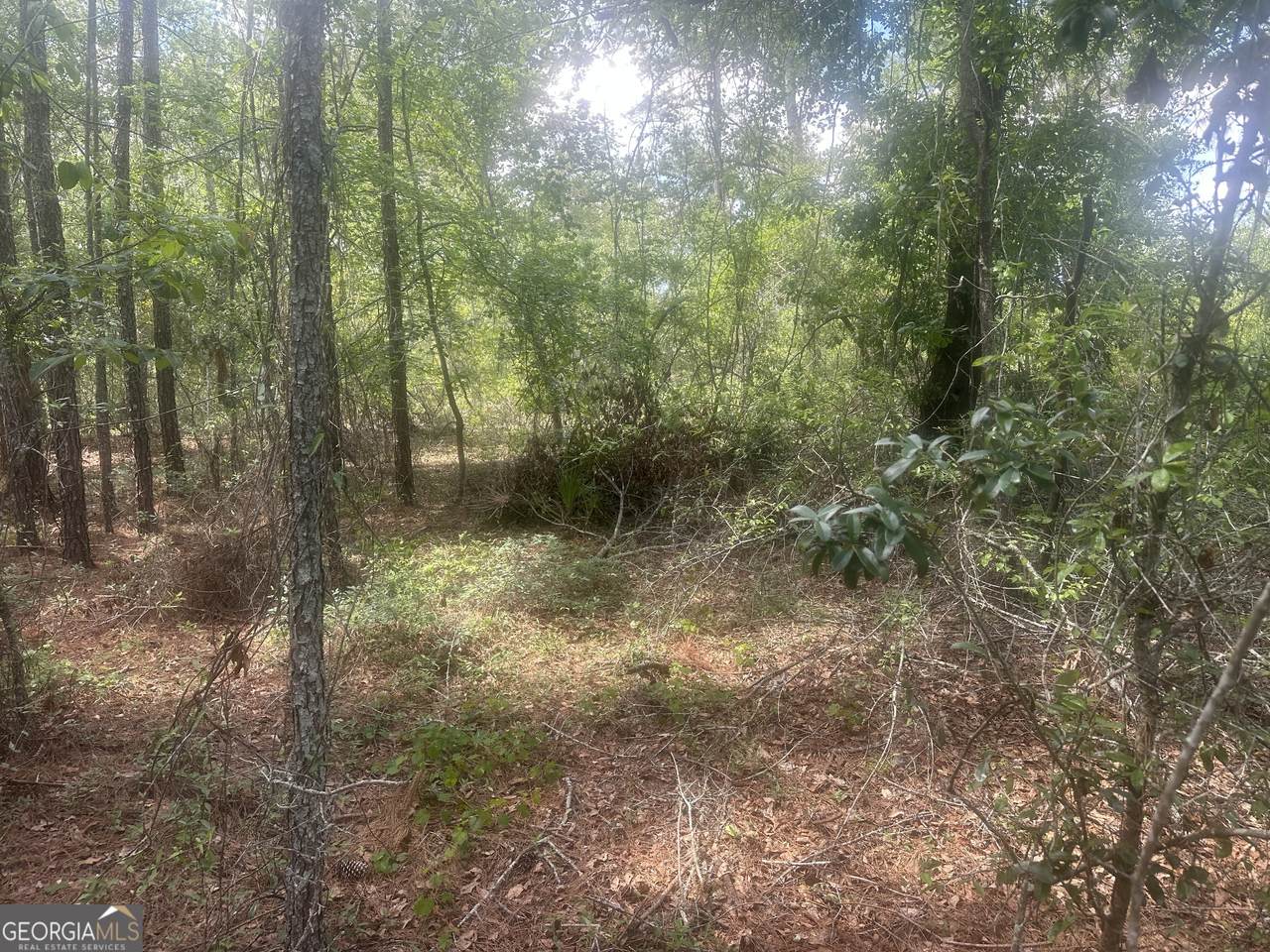 0 Robert Chapel Cemetery Road - Photo 1