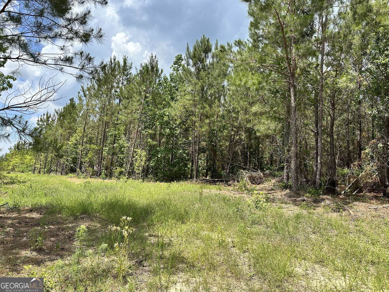 LOT 7.5 Highway 19 - Photo 1