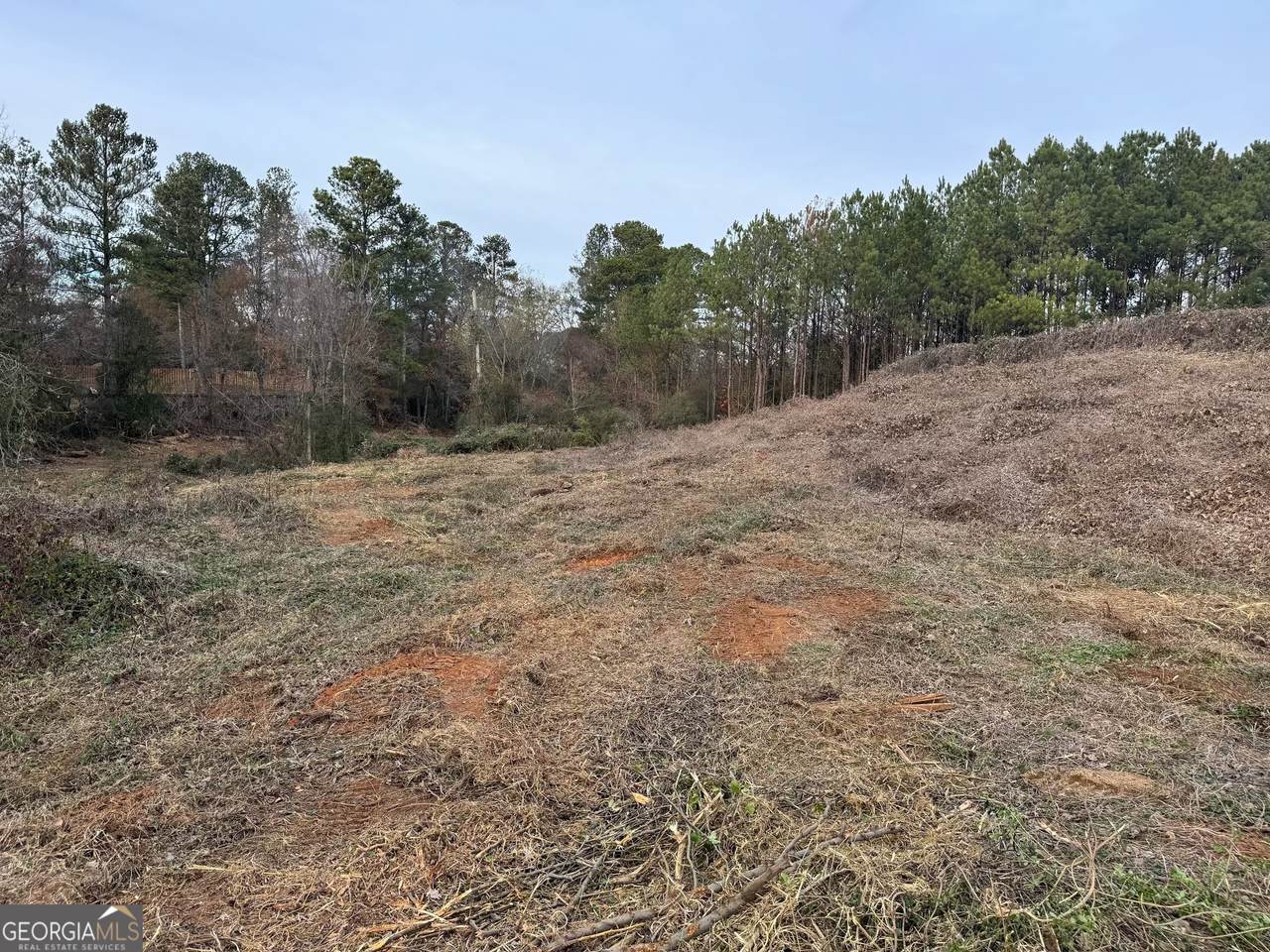 0 Sandtown Road - Photo 1