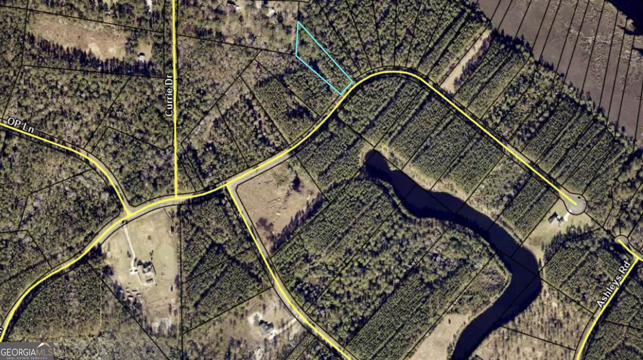 V/L 19 James Lane - Photo 1