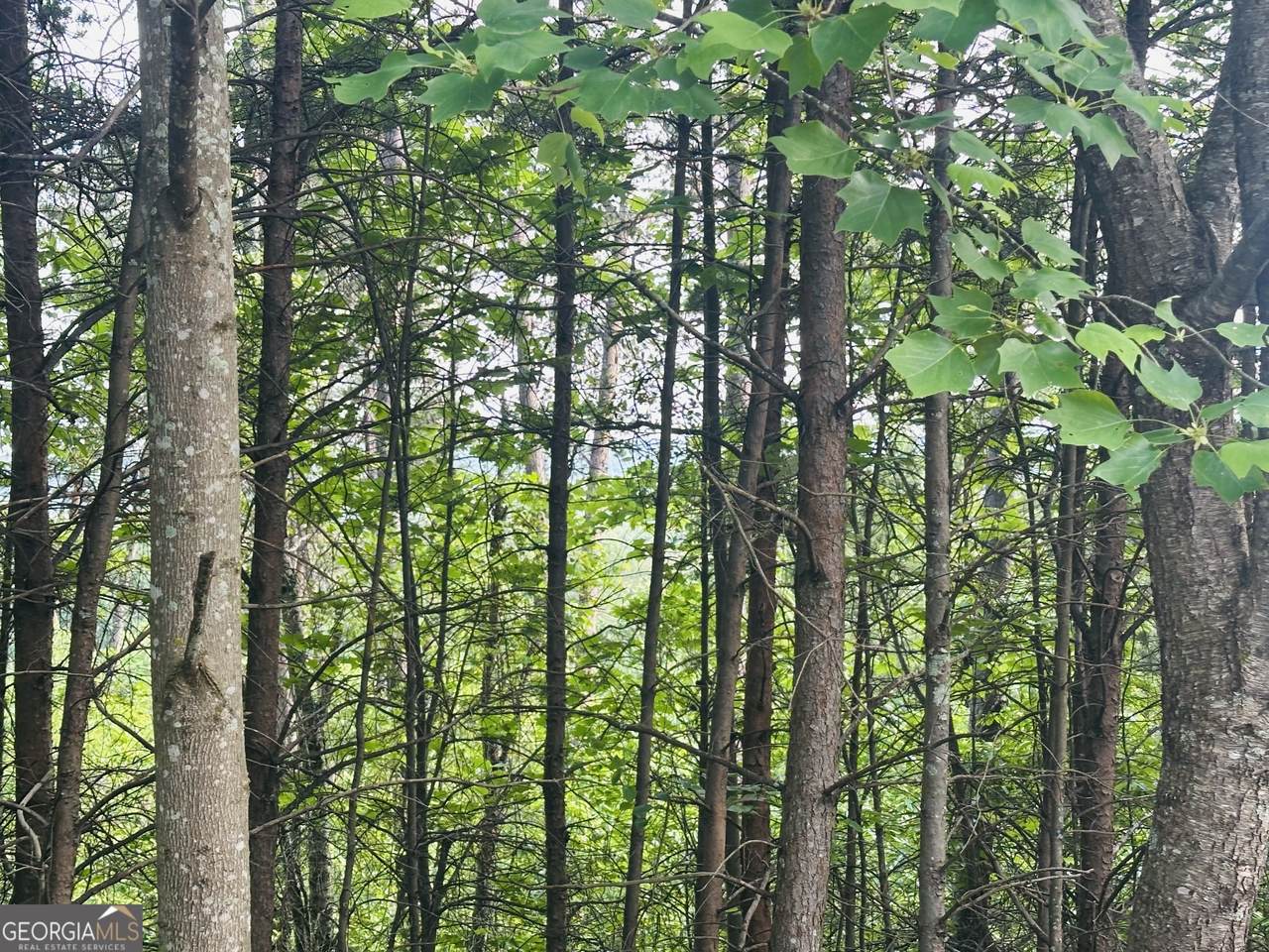 LOT 30 Crown Mountain Way - Photo 1