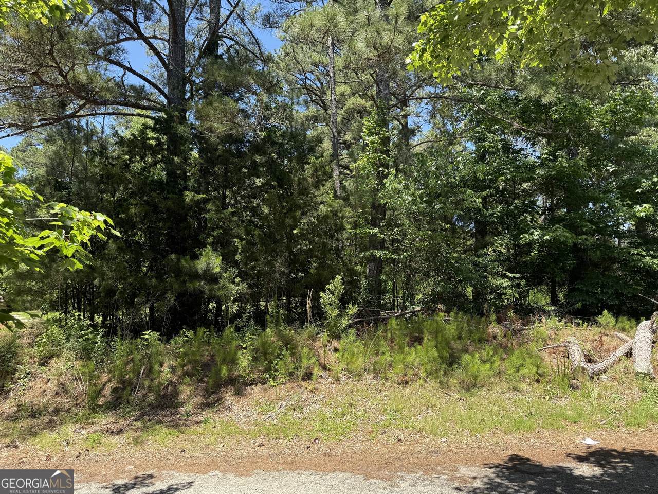 5565 Mason Road - Photo 1