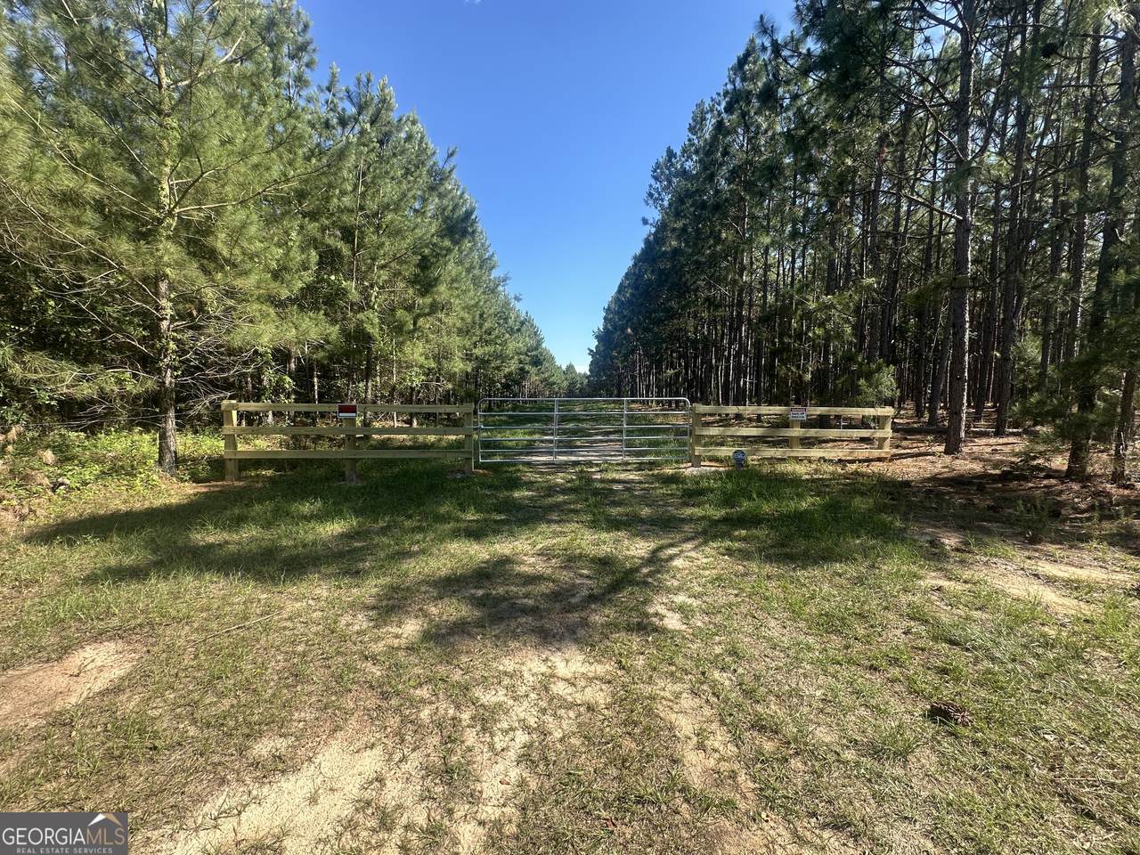 0 Dorsey Clark Road - Photo 1