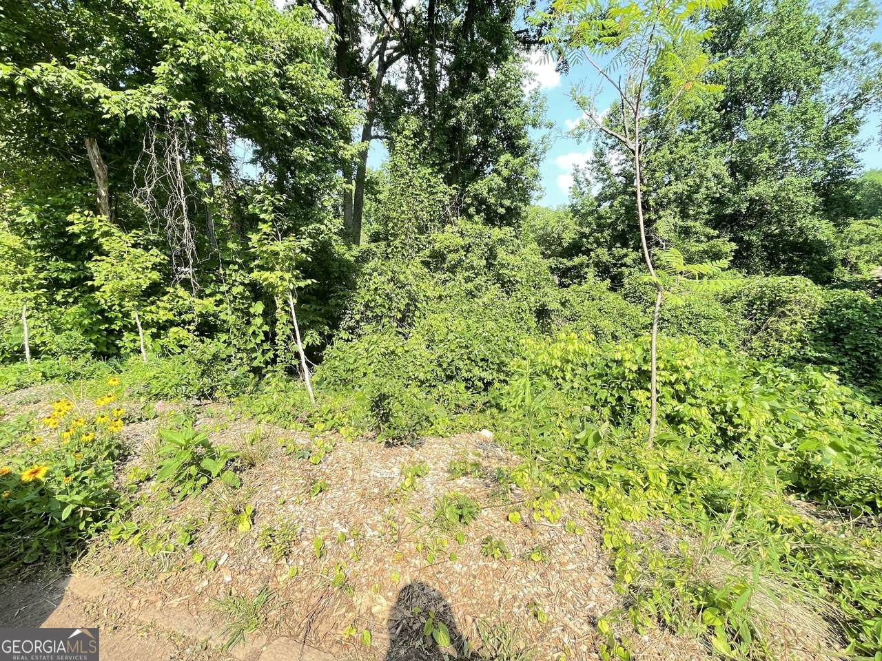 1247 Beechview Drive - Photo 1