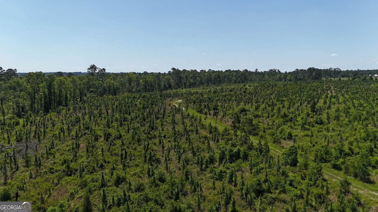 0 Deer Run Road - Photo 1