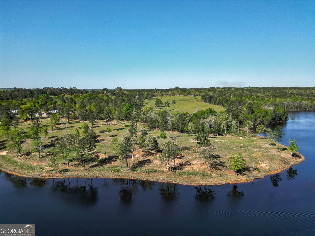 1009 Walter Wells Road - Photo 1