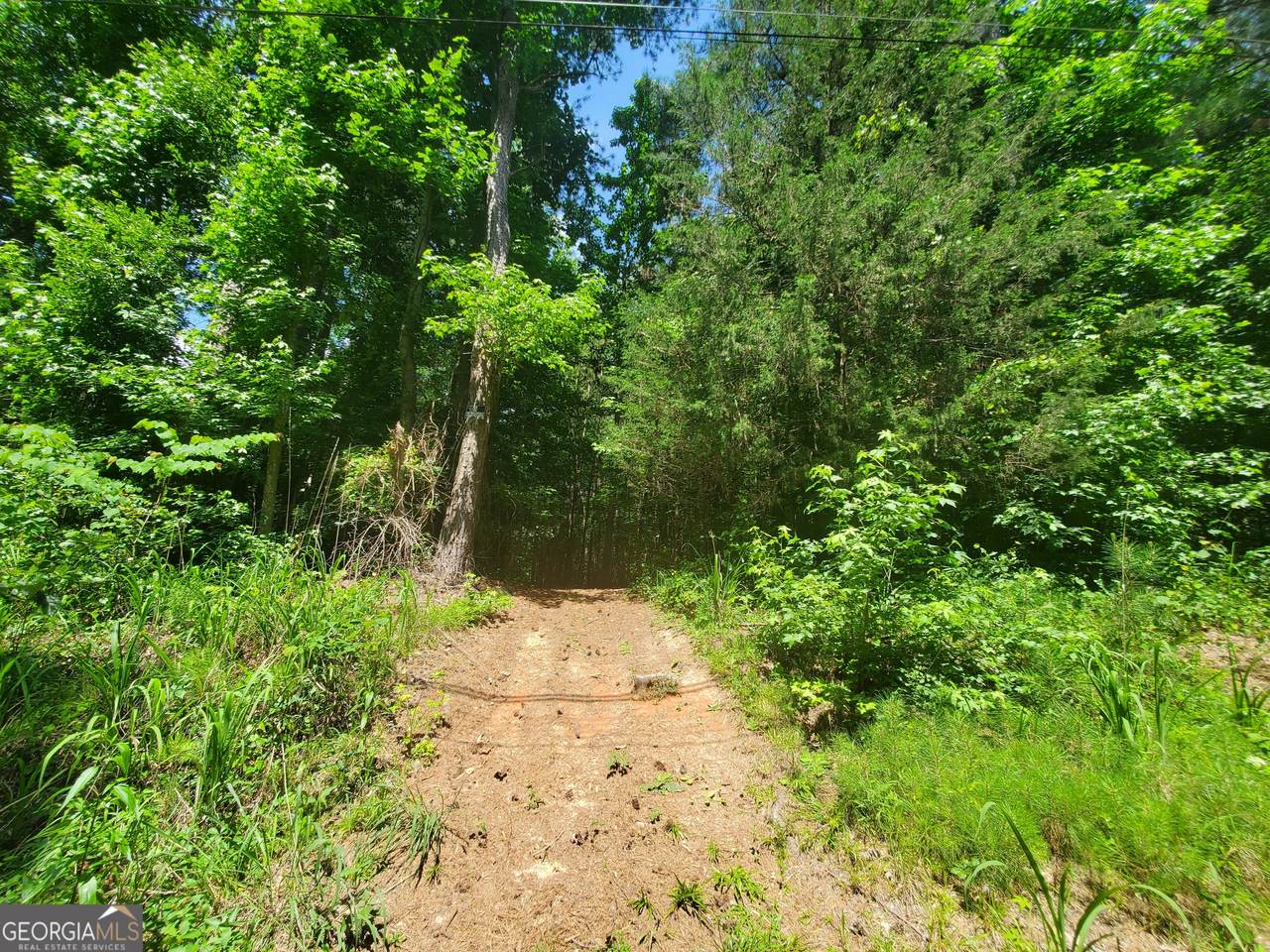 4244 Bradley Drive - Photo 1