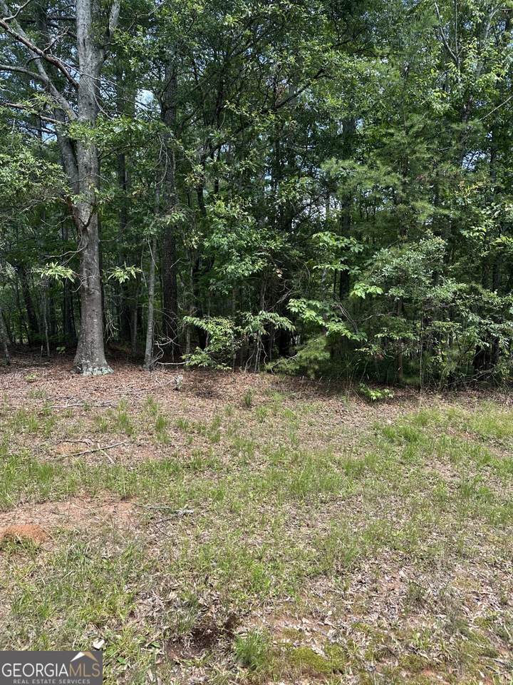 4583 Bennett Road - Photo 1