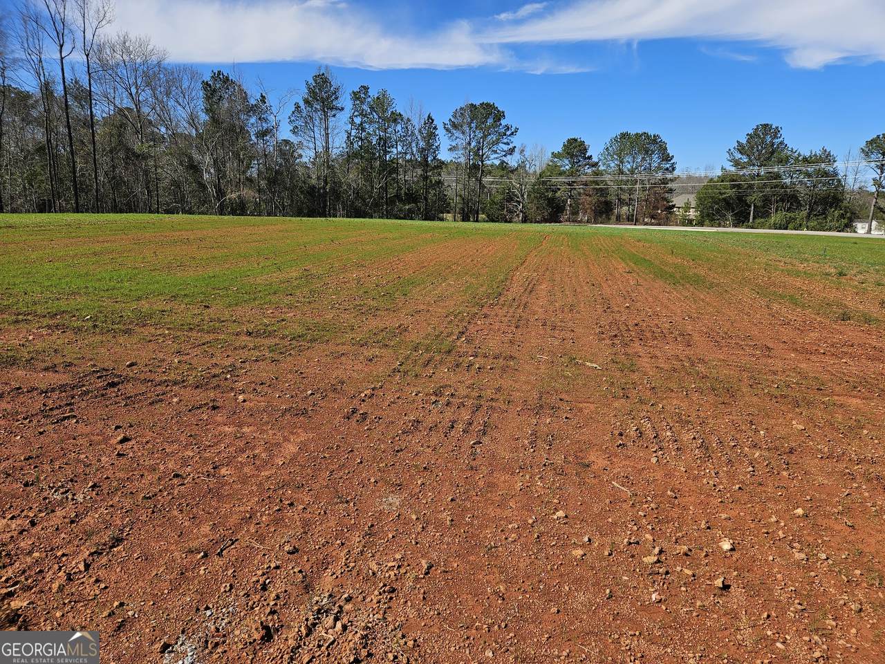 8160 County Road 87 - Photo 1