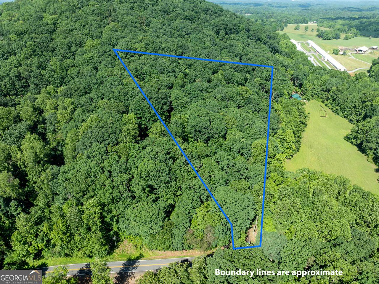 3.65AC Emory Stephens Road - Photo 1