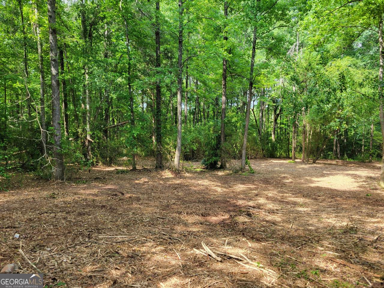 2200 Rest Haven Road - Photo 1