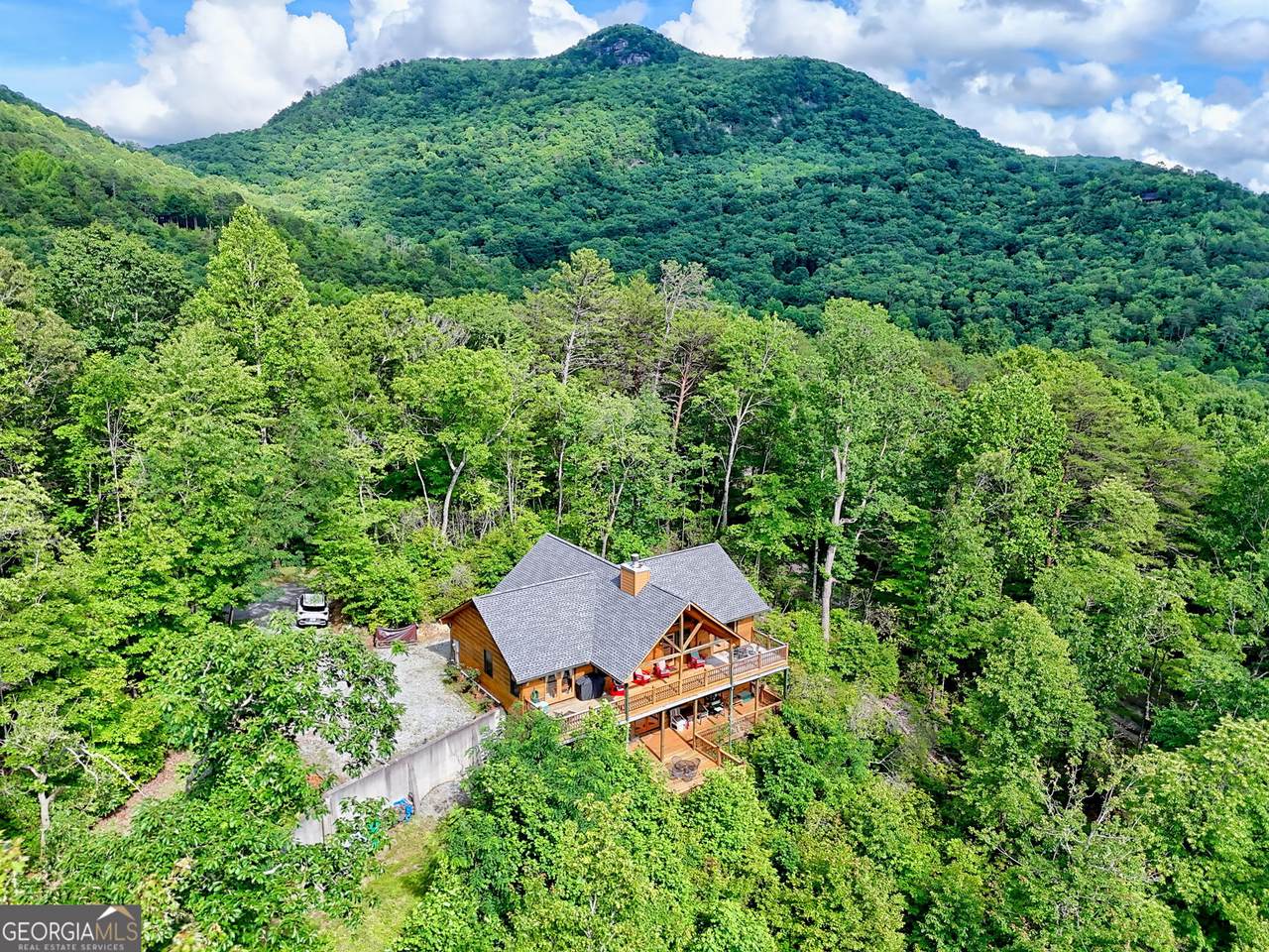 331 Black Bear Den Road - Photo 1