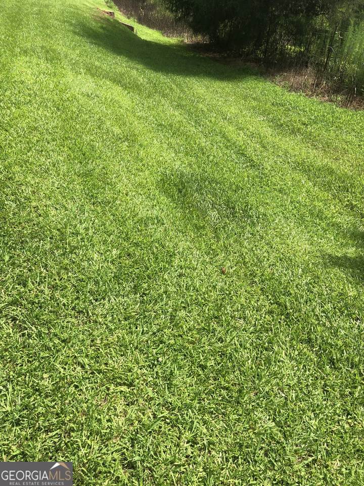 7000 Petersburg Road - Photo 1