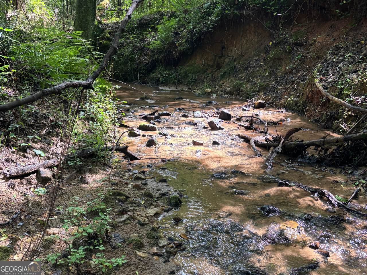 0 County Road 85 - Photo 1