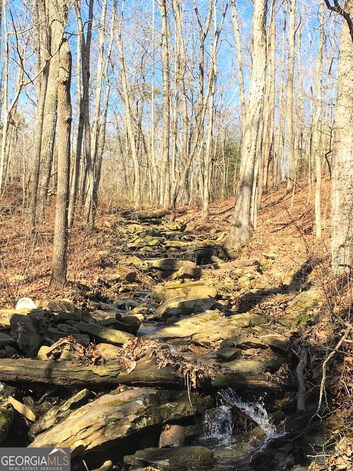 0 Welch Road - Photo 1
