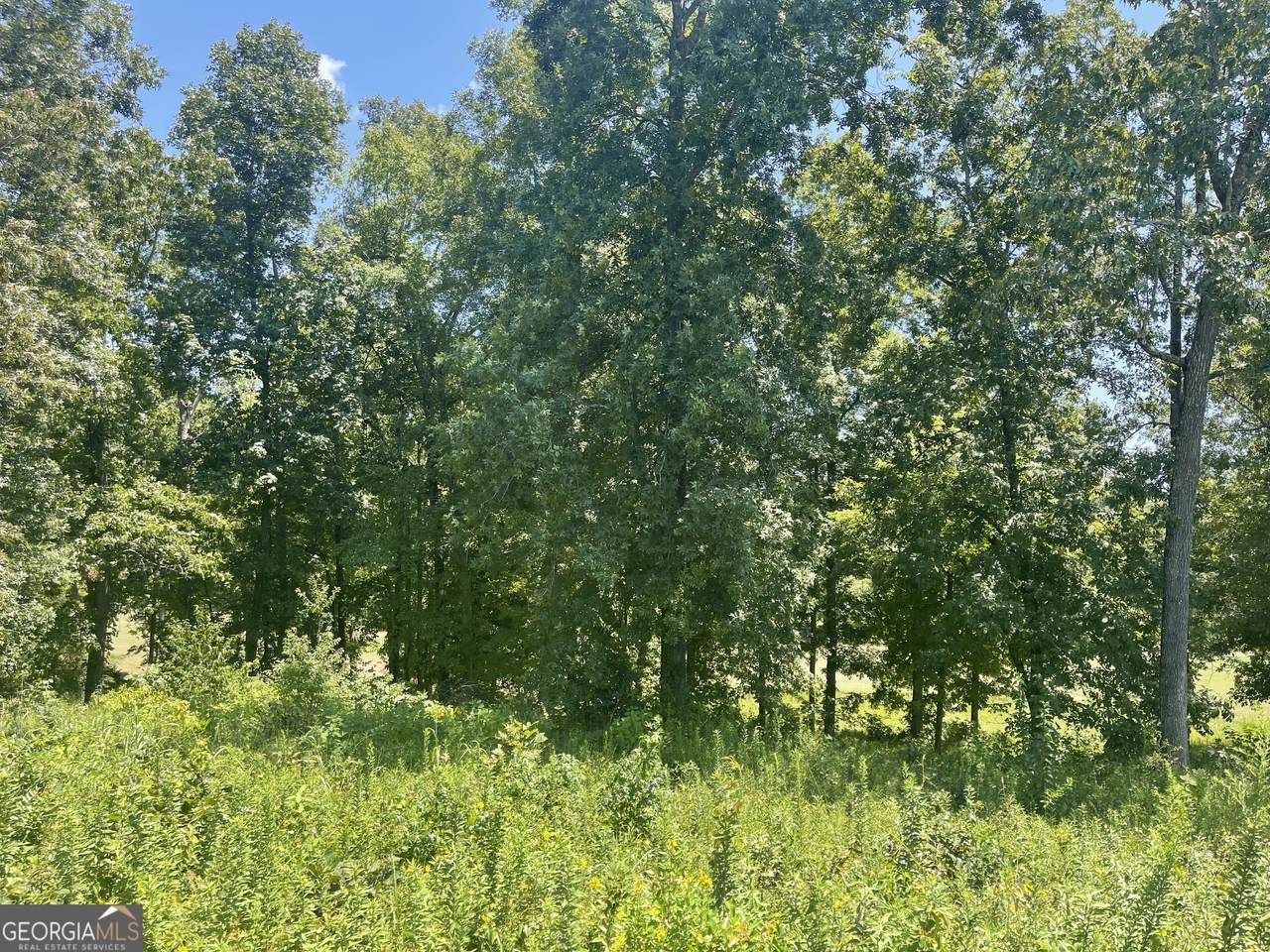 LOT 11 Oak Drive - Photo 1