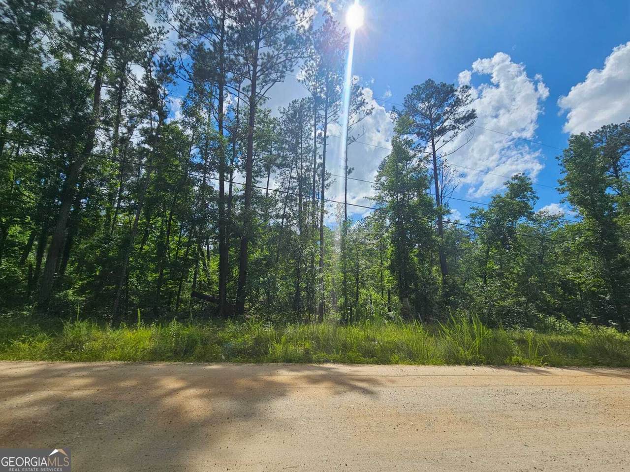 2.8 AC Bear Creek Point Road - Photo 1