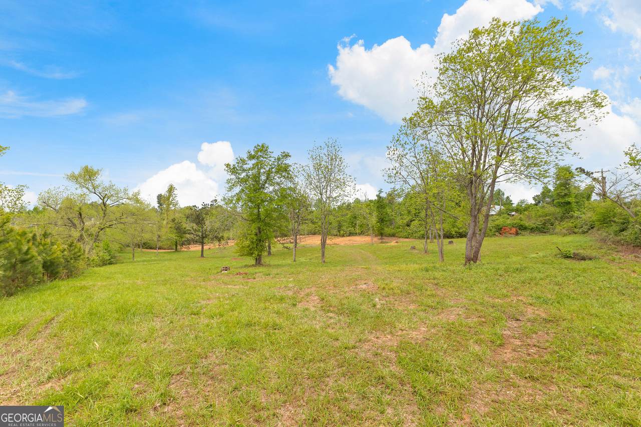 0 Belk Road - Photo 1
