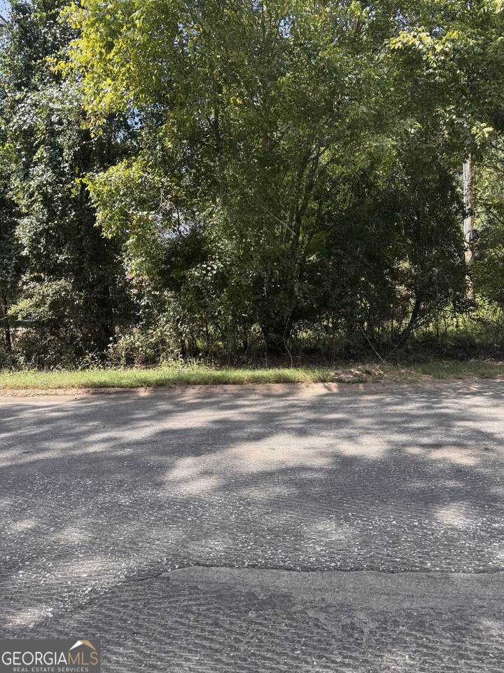 0 Jackson Road - Photo 1