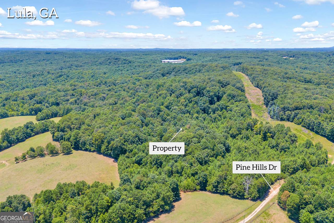 0 Pinehills Drive - Photo 1
