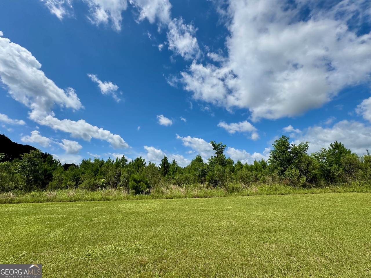 0 Irwinville Highway - Photo 1