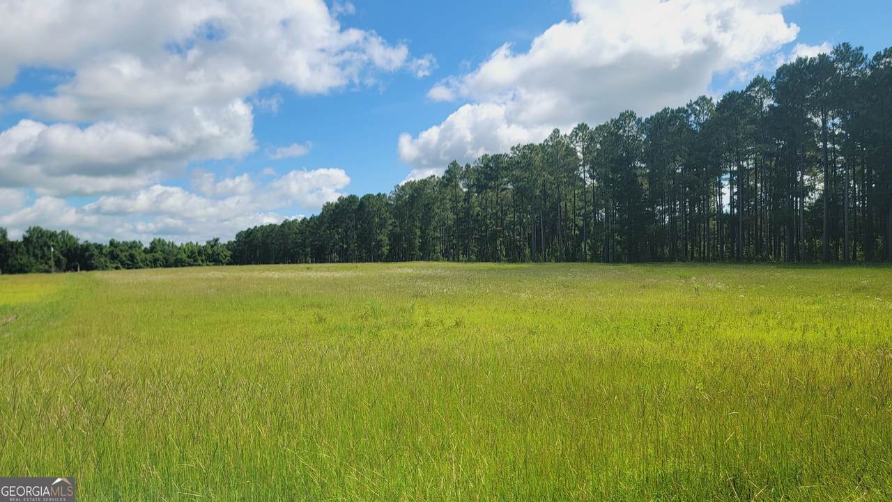 0 Briar Patch Way - Photo 1