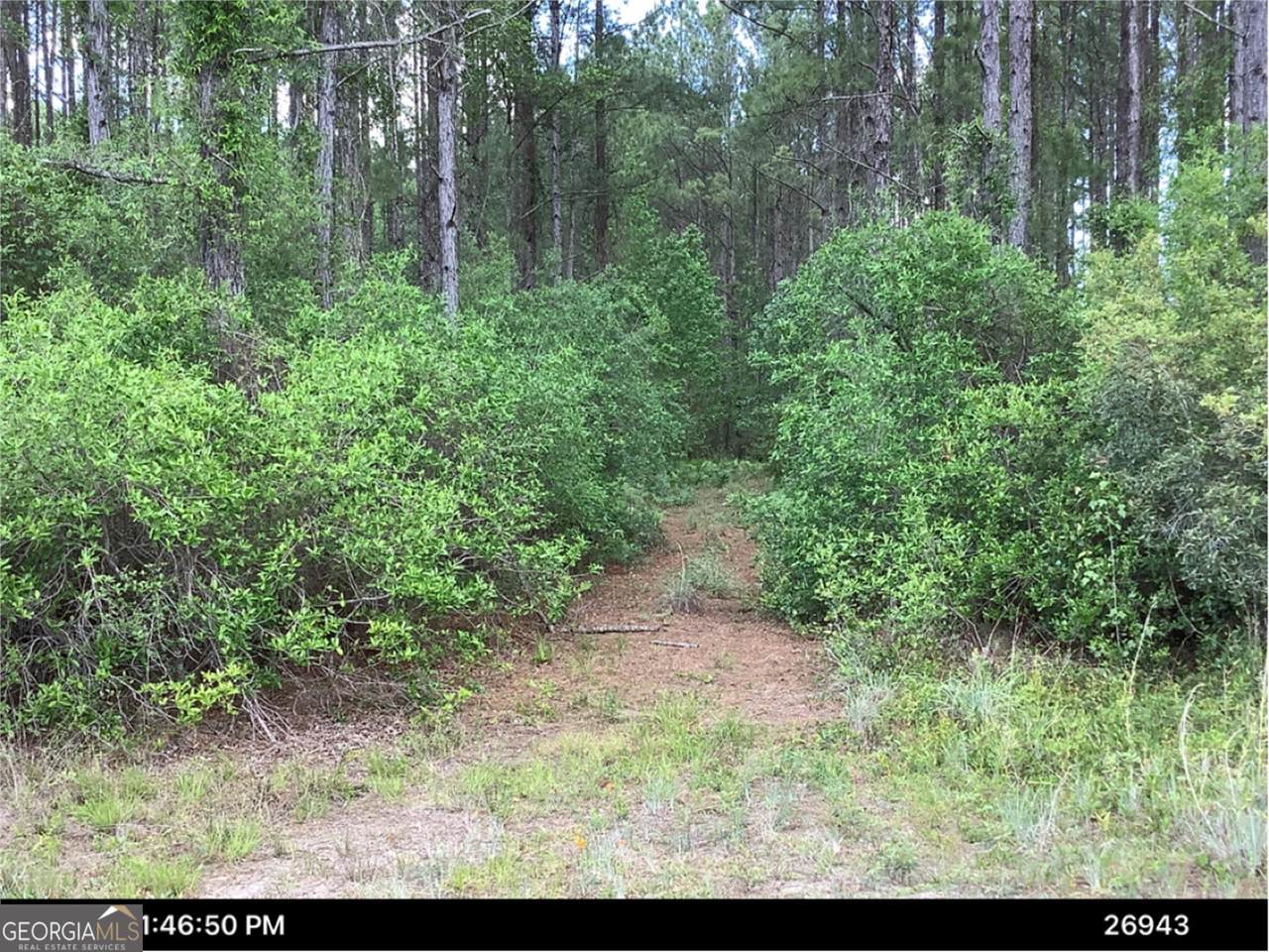 0 Incachee Road - Photo 1