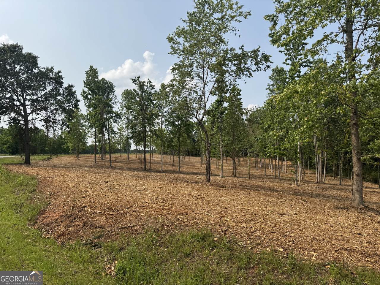 LOT 2 Happy Hollow Road - Photo 1