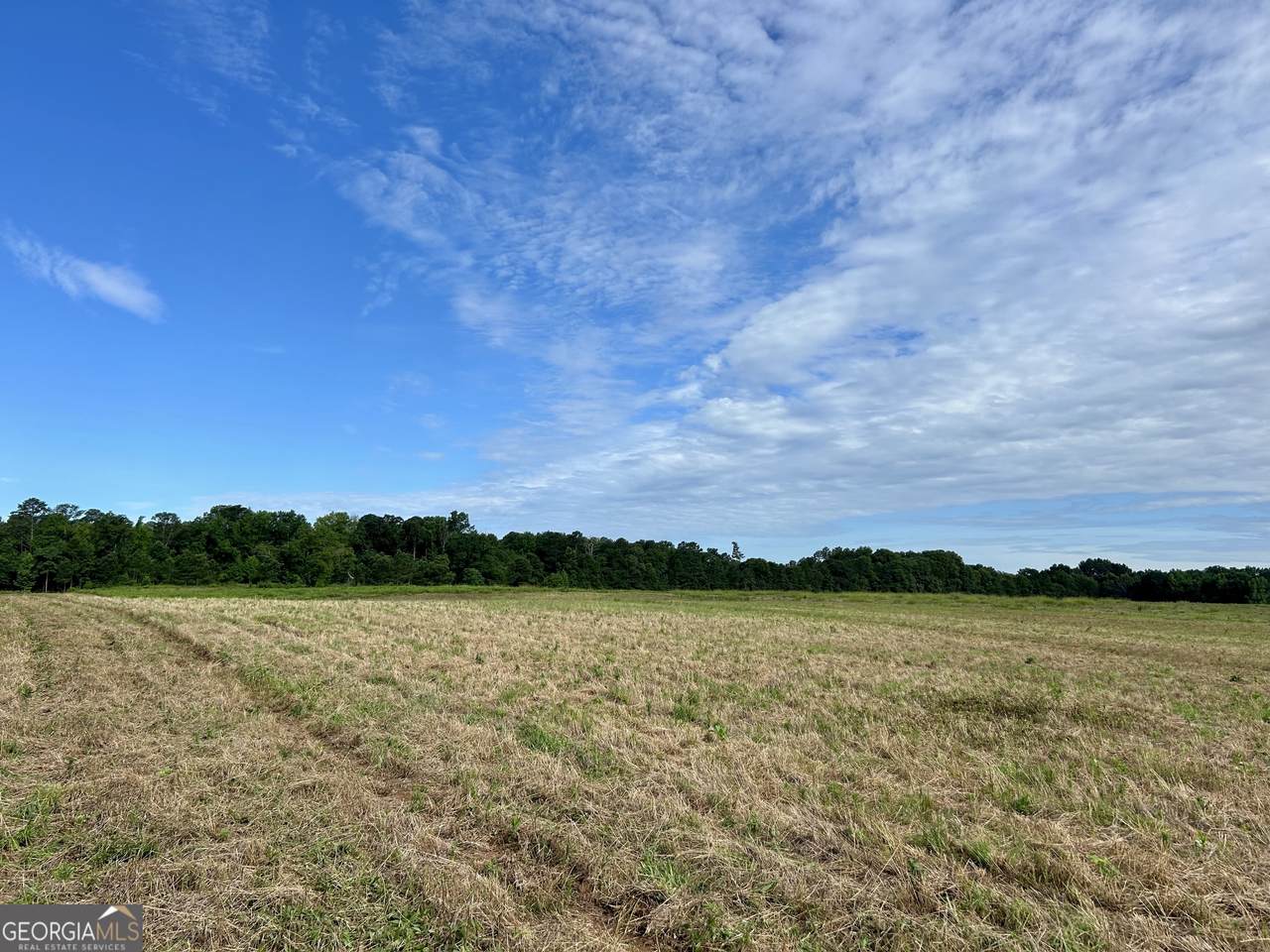 221 Hamil Road - Photo 1