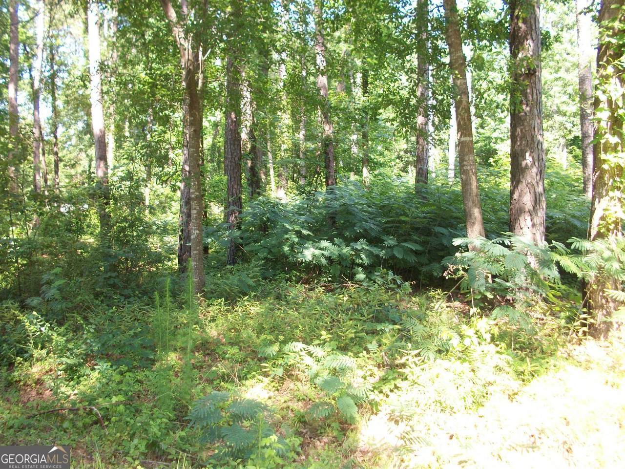 https://bt-photos.global.ssl.fastly.net/gamls/1280_boomver_1_10549135-2.jpg