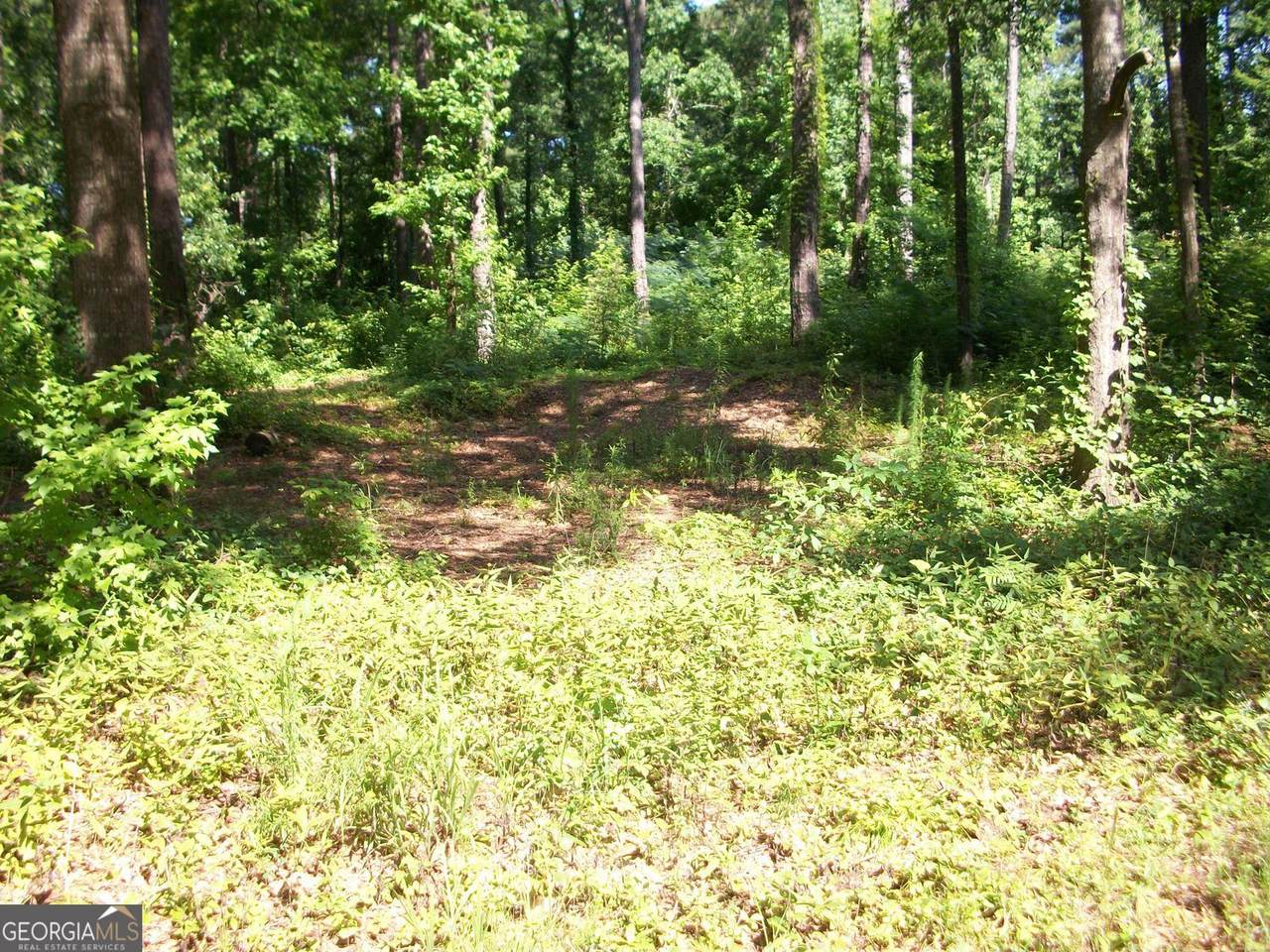 https://bt-photos.global.ssl.fastly.net/gamls/1280_boomver_1_10549135-2.jpg