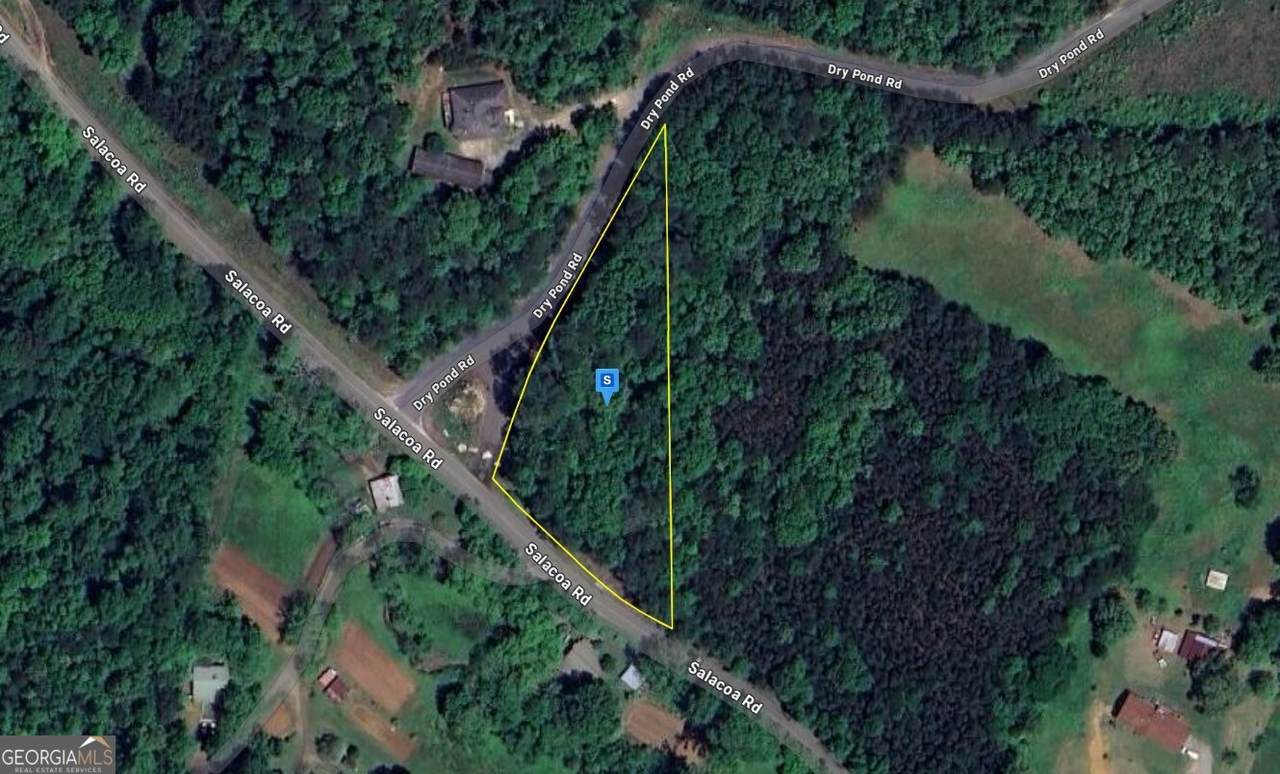2332 Salacoa Road - Photo 1