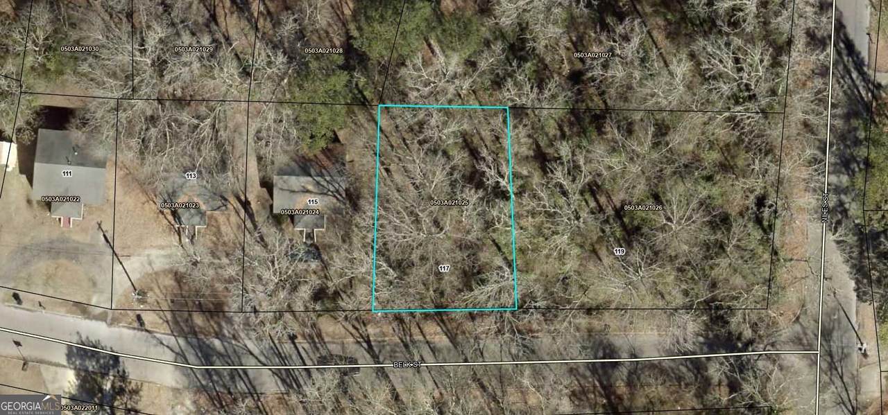 117 Belk Street - Photo 1