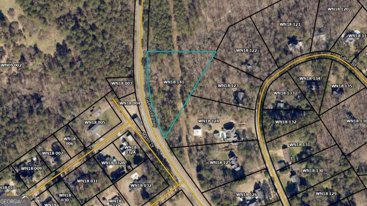 0 Gainesville Highway - Photo 1