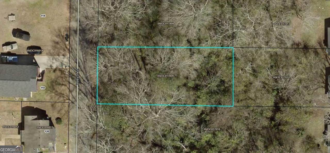 0 Locust Street - Photo 1