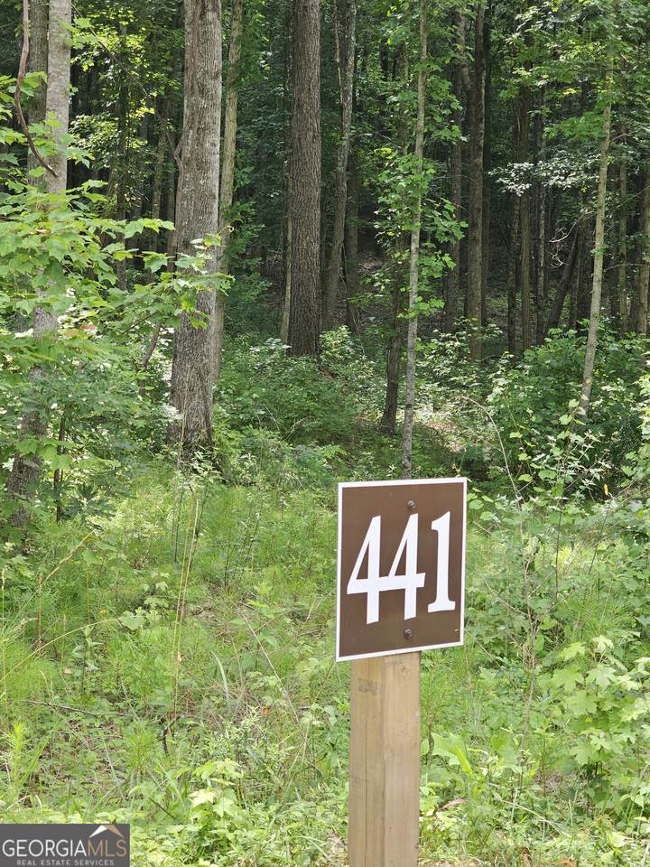 0 Twisted Oak Road - Photo 1