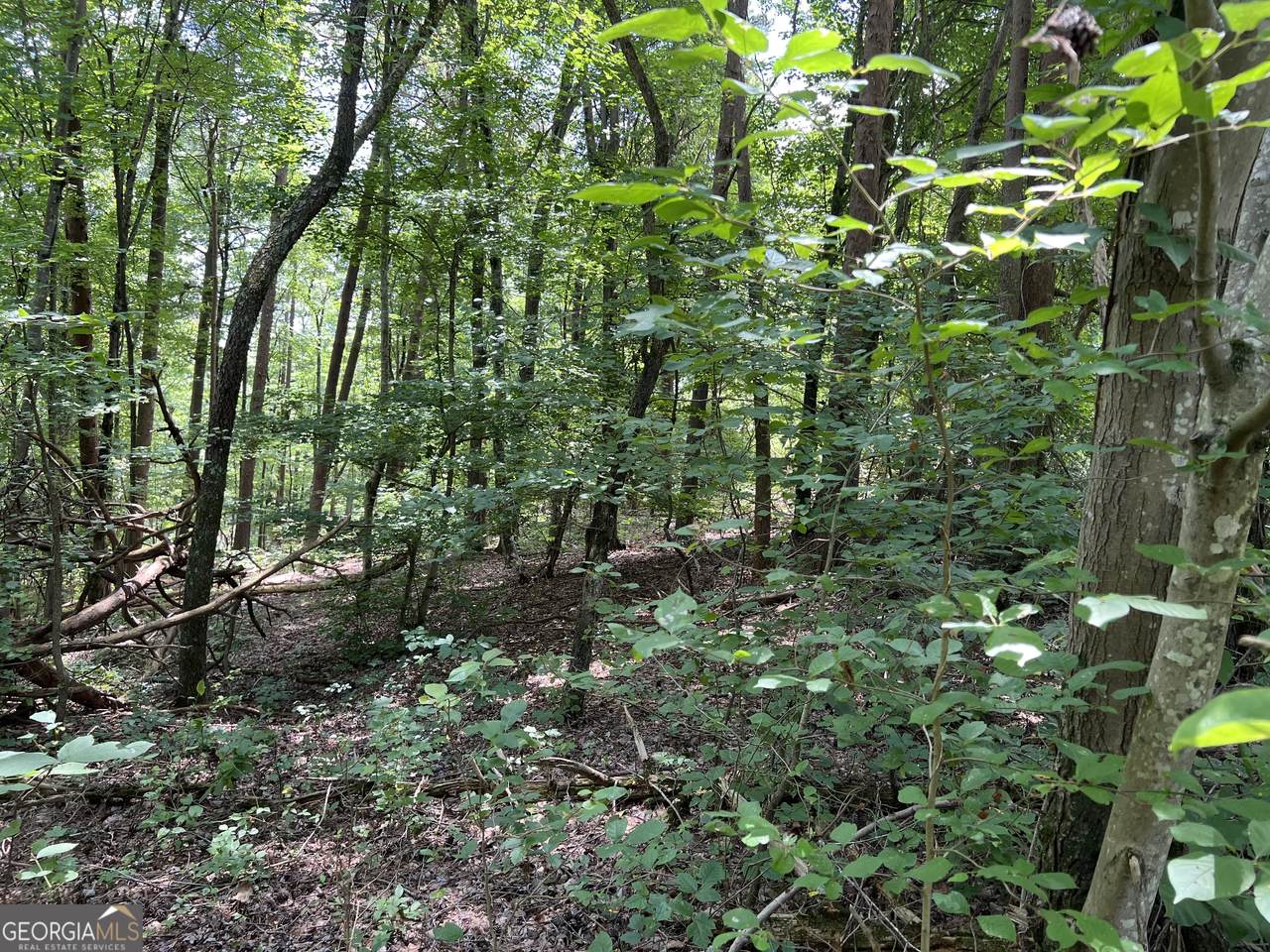0 Lavender Trail - Photo 1
