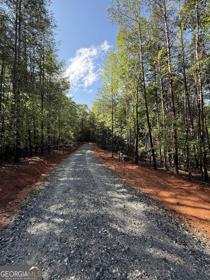 LOT 2 Helipad Road - Photo 1