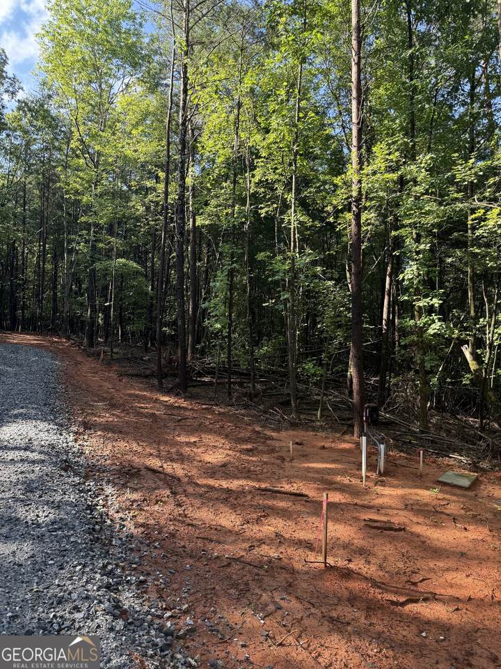 LOT 3 Helipad Road - Photo 1