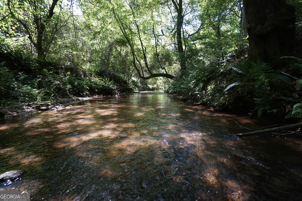 2132 Atlanta Road - Photo 1