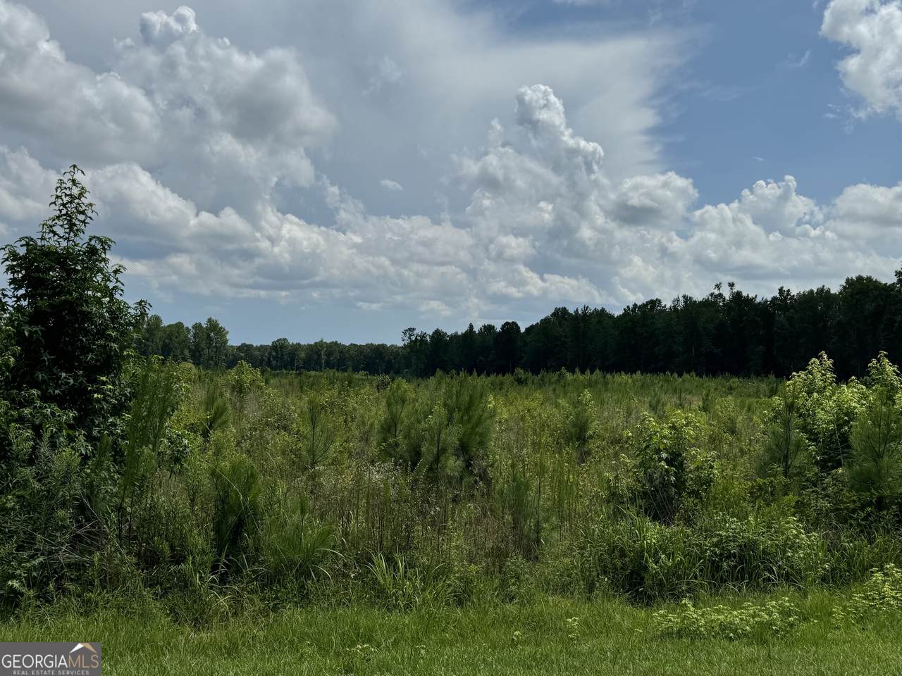 3854 Us Hwy 19 - Photo 1