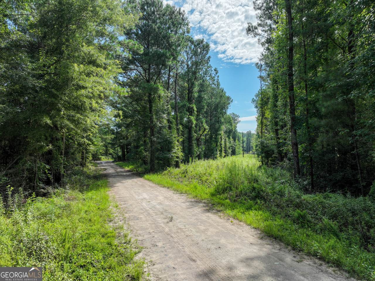 497 T04 River Road - Photo 1