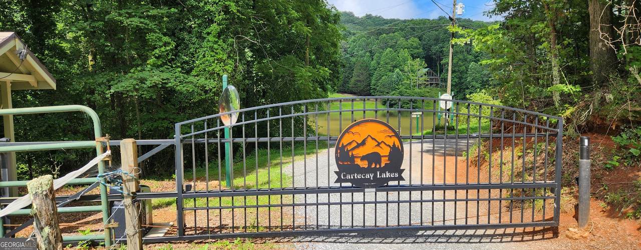 LT 51 LT 52 Buena Vista Drive - Photo 1