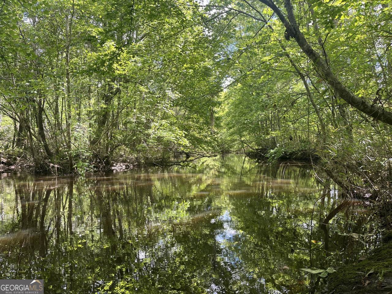 0 Bartow-Dublin Road - Photo 1