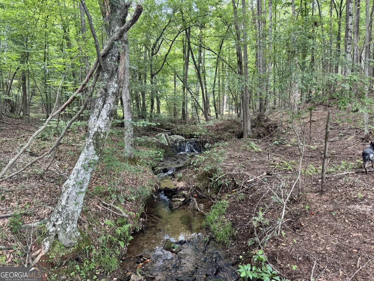 140+/- AC Hwy 100 - Photo 1