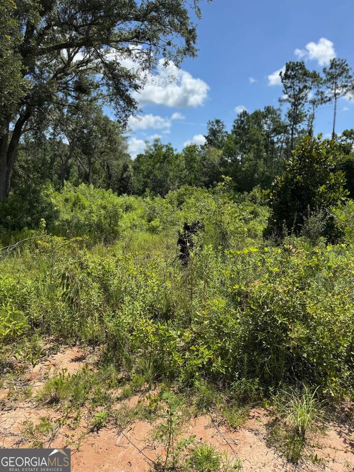 5125 Kinderlou Clyattville Road - Photo 1