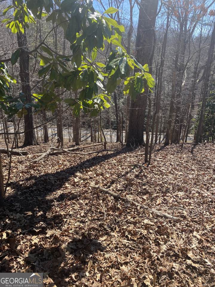 806 Dixon Drive - Photo 1